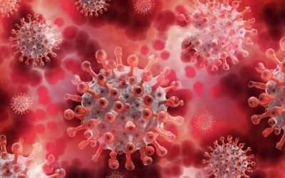 Covid 2021: 9 tendenze post coronavirus che devi sapere